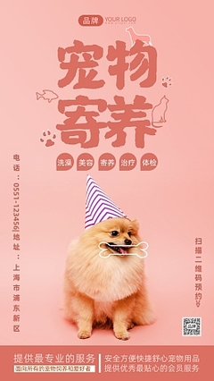 寵物攝影 為愛寵留住美好瞬間的專業服務