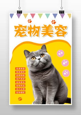 專業寵物服務 寵愛無限——限時促銷火熱開啟