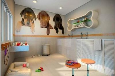 開(kāi)一家寵物店需要多少錢(qián)？——寵老板為您詳細(xì)解析