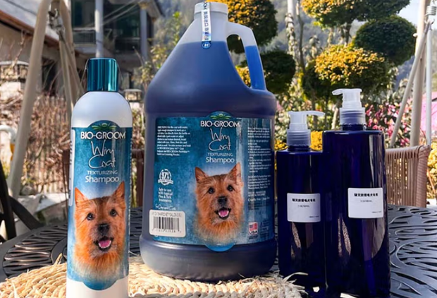 碧艾歐 以專(zhuān)業(yè)與關(guān)懷為核心的寵物服務(wù)新品牌