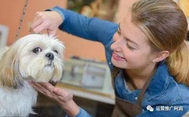 寵物醫(yī)院抖音線(xiàn)上推廣攻略 打造專(zhuān)業(yè)又溫暖的寵物服務(wù)品牌