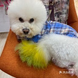 2021年6月18日 候睦寵物美容服務(wù)部信息查詢(xún)指南（基于360地圖）